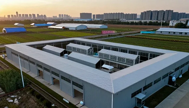 洗涤保养服务在加工型包装配送中的发展趋势